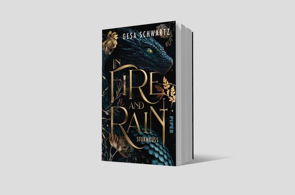 Produktbild: In Fire and Rain &ndash; Sturmkuss