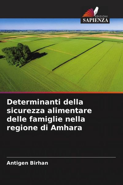 Produktbild: Determinanti della sicurezza alimentare delle famiglie nella regione di Amhara