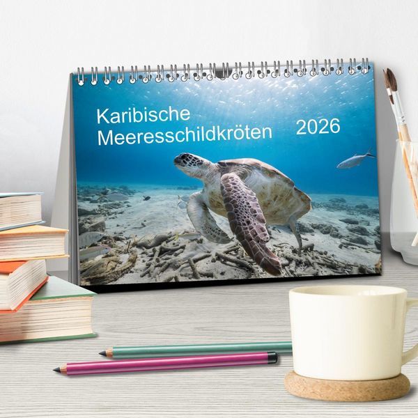 Produktbild: Karibische Meeresschildkr&ouml;ten (Tischkalender 2026 DIN A5 quer), CALVENDO Monatskalender