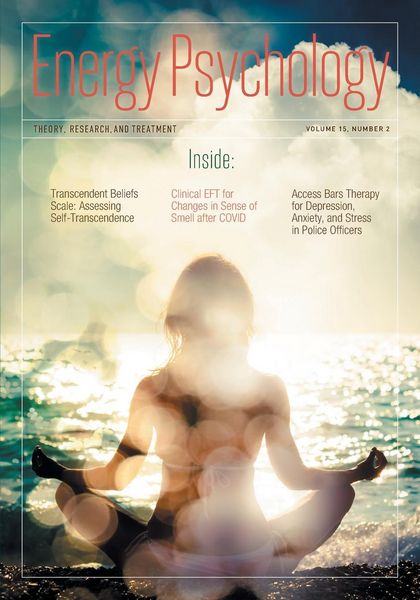 Produktbild: Energy Psychology Journal 15(2)