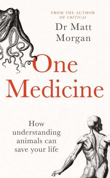 Produktbild: One Medicine