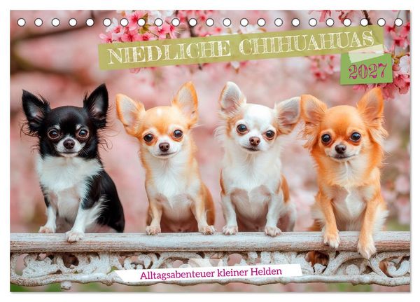 Produktbild: Niedliche Chihuahuas (Tischkalender 2027 DIN A5 quer), CALVENDO Monatskalender