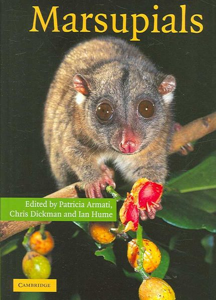 Produktbild: Marsupials