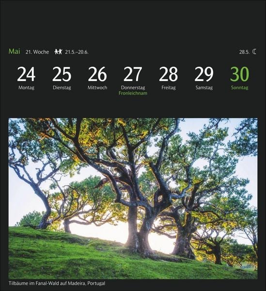 Produktbild: GEO Magische Natur Postkartenkalender 2027 - Wochenkalender mit 53 Postkarten