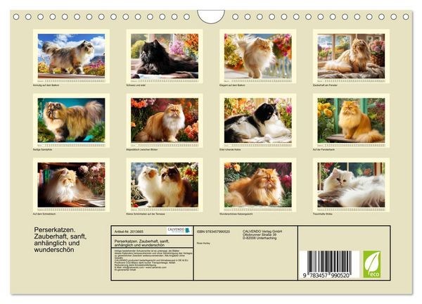 Produktbild: Perserkatzen. Zauberhaft, sanft, anh&auml;nglich und wundersch&ouml;n (Wandkalender 2026 DIN A4 quer), CALVENDO Monatskalender