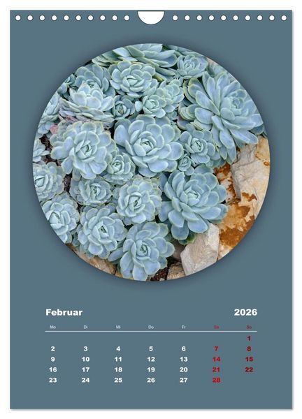 Produktbild: Rundherum Natur (Wandkalender 2026 DIN A4 hoch), CALVENDO Monatskalender