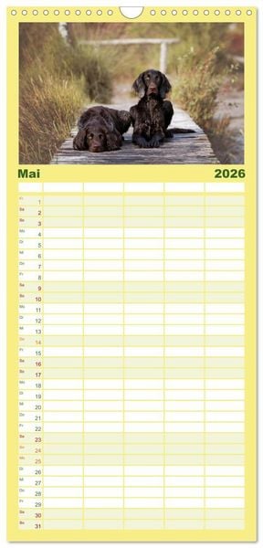 Produktbild: Familienplaner 2026 - Passion Jagdhund - Deutsch Langhaar mit 5 Spalten (Wandkalender, 21 x 45 cm) CALVENDO