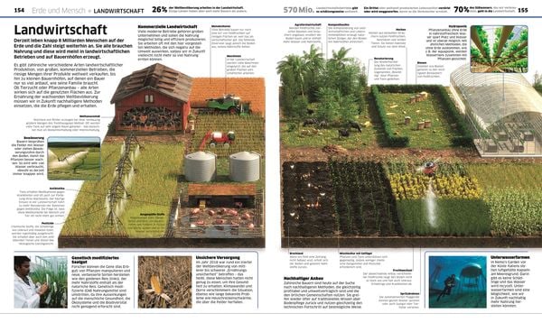 Produktbild: DK Wissen. Erde