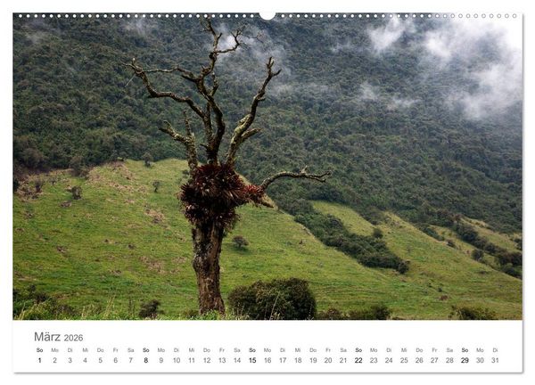 Produktbild: Ecuador - Regenwald und Vulkane (Wandkalender 2026 DIN A2 quer), CALVENDO Monatskalender