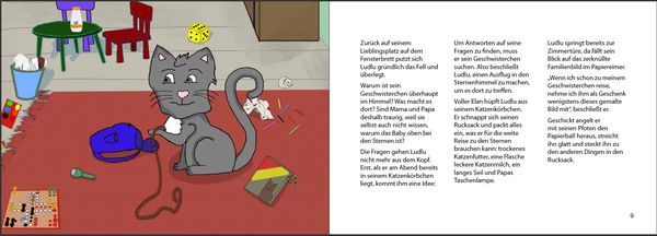 Trotzdem großer Bruder - Katerkind Ludlu besucht sein Sternengeschwisterchen