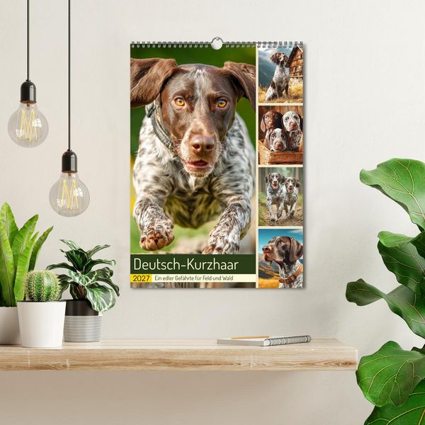 Produktbild: Deutsch-Kurzhaar. Ein edler Gef&auml;hrte f&uuml;r Feld und Wald (Wandkalender 2027 DIN A3 hoch), CALVENDO Monatskalender