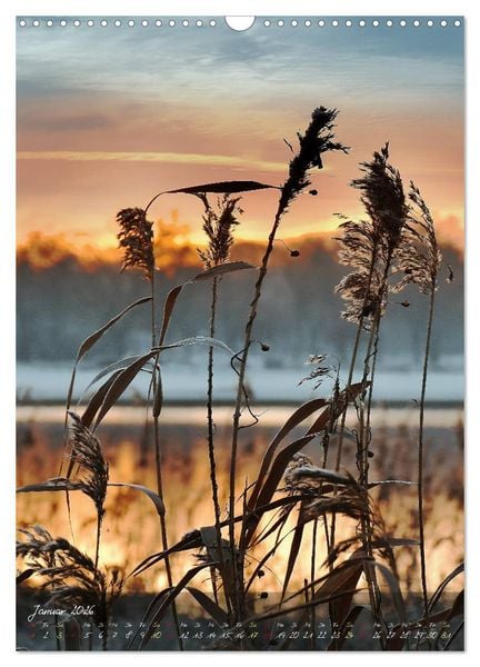 Produktbild: Moment Zauber (Wandkalender 2026 DIN A3 hoch), CALVENDO Monatskalender