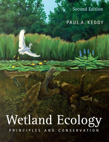 Produktbild: Keddy, P: Wetland Ecology