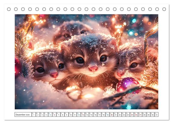 Produktbild: Augen wie Kn&ouml;pfe (Tischkalender 2026 DIN A5 quer), CALVENDO Monatskalender