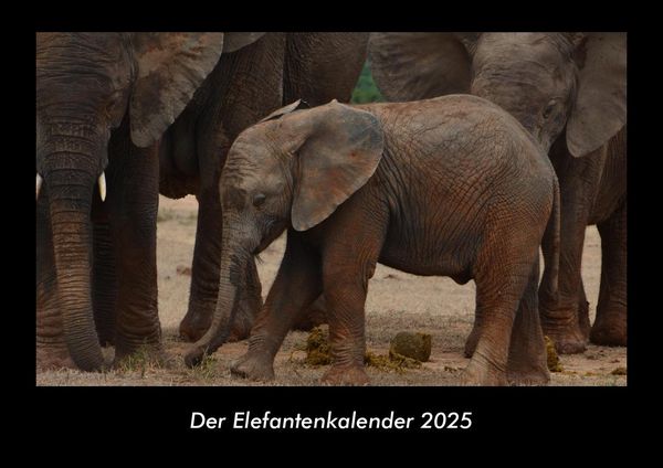 Produktbild: Der Elefantenkalender 2025 Fotokalender DIN A3