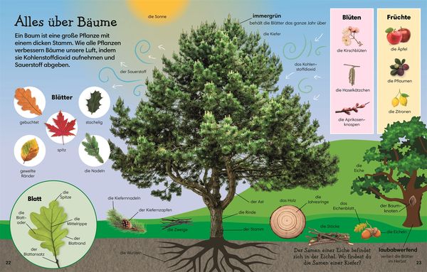 Produktbild: 1000 erste W&ouml;rter. Natur