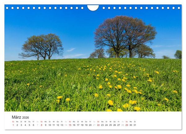 Produktbild: Blicke in die Eifel (Wandkalender 2026 DIN A4 quer), CALVENDO Monatskalender