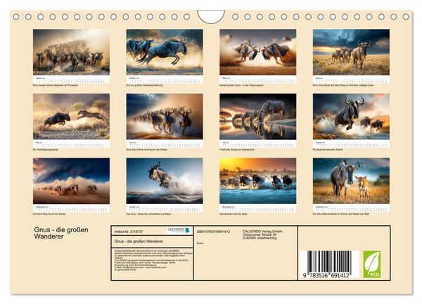 Produktbild: Gnus - die gro&szlig;en Wanderer (Wandkalender 2026 DIN A4 quer), CALVENDO Monatskalender