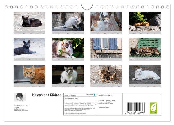 Produktbild: Katzen des S&uuml;dens (Wandkalender 2026 DIN A4 quer), CALVENDO Monatskalender