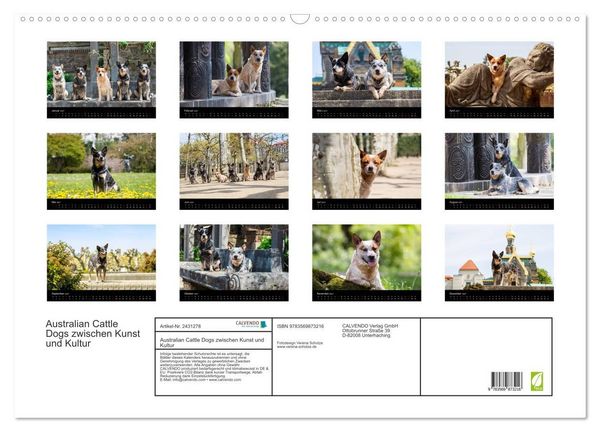Produktbild: Australian Cattle Dogs zwischen Kunst und Kultur (Wandkalender 2027 DIN A2 quer), CALVENDO Monatskalender