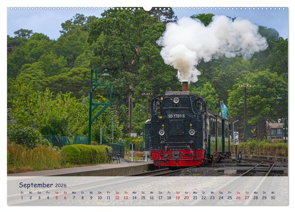 Produktbild: R&uuml;genliebe (Wandkalender 2026 DIN A2 quer), CALVENDO Monatskalender