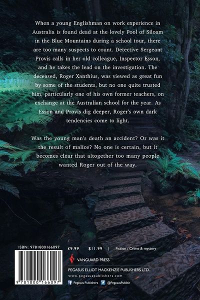 Produktbild: The Pool of Siloam
