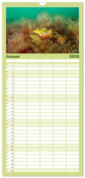 Produktbild: Familienplaner 2026 - Unter Wasser rund um Fehmarn mit 5 Spalten (Wandkalender, 21 x 45 cm) CALVENDO