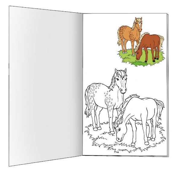 Produktbild: Ausmalbuch mit Stickern "Meine bunte Pferdewelt"