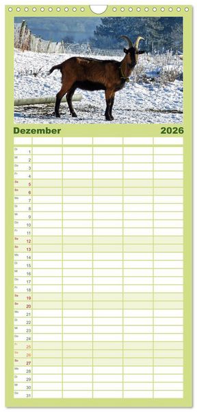 Produktbild: Familienplaner 2026 - Wer zickt denn da? Mit Ziegen durchs Jahr mit 5 Spalten (Wandkalender, 21 x 45 cm) CALVENDO