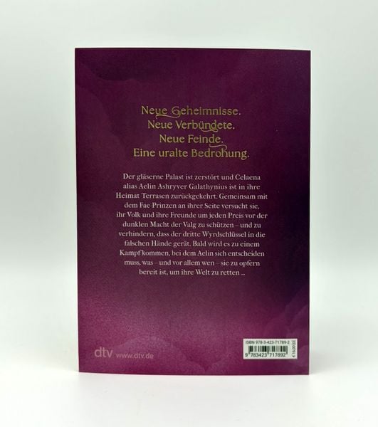 Produktbild: Die Sturmbezwingerin / Throne of Glass Bd. 5