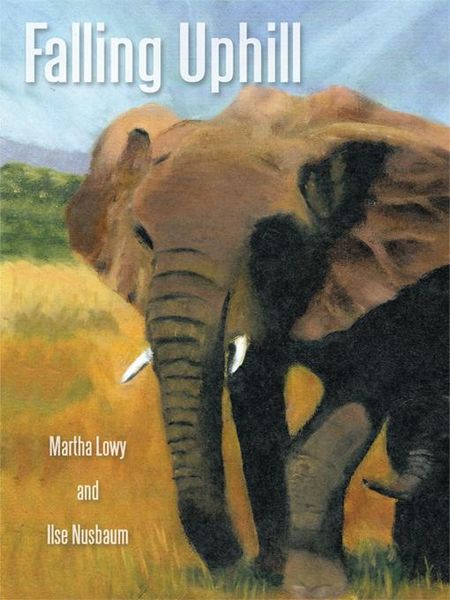 Produktbild: Falling Uphill