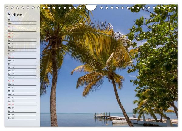 Produktbild: FLORIDA Idyllischer Sonnenscheinstaat (Wandkalender 2026 DIN A4 quer), CALVENDO Monatskalender