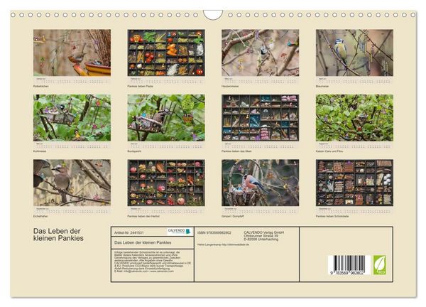 Produktbild: Das Leben der kleinen Pankies (Wandkalender 2027 DIN A3 quer), CALVENDO Monatskalender