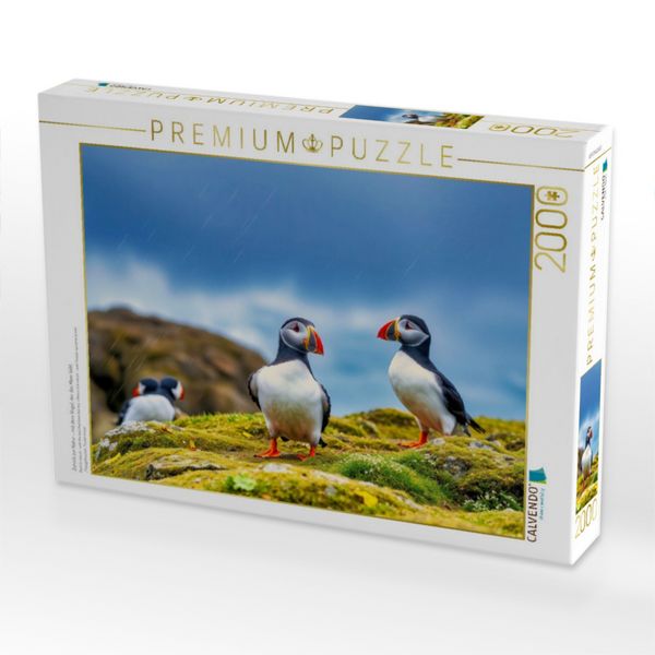 Produktbild: CALVENDO Puzzle Zur&uuml;ck zur Natur - mit dem Vogel, der das Meer liebt. | 2000 Teile Lege-Gr&ouml;&szlig;e 90x67cm Foto-Puzzle f&uuml;r gl&uuml;ckliche Stunden