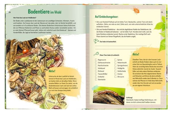 Produktbild: Der Wald