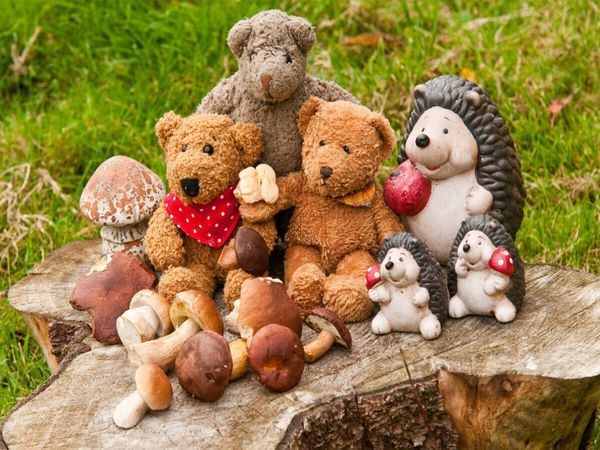 Produktbild: Pilze sammeln macht Spa&szlig; (Puzzle)
