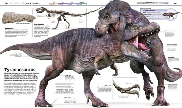 Produktbild: DK Wissen. Dinosaurier