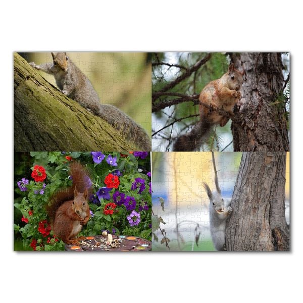 Produktbild: Lais Puzzle Collage Eichh&ouml;rnchen 500 Teile