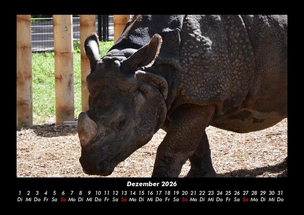Produktbild: Der Tierkalender 2026 Fotokalender DIN A3