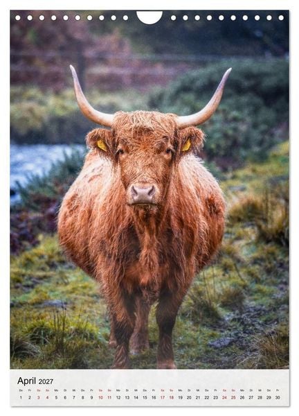 Produktbild: Schottland - Isle of Skye & Umgebung (Wandkalender 2027 DIN A4 hoch), CALVENDO Monatskalender