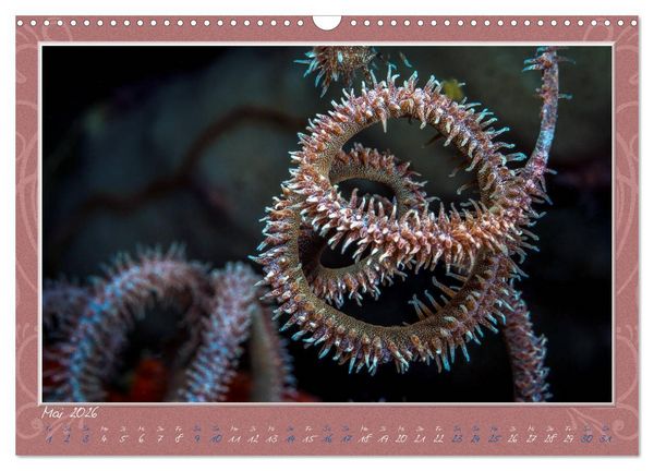 Produktbild: Unterwasser Kunstwerke (Wandkalender 2026 DIN A3 quer), CALVENDO Monatskalender