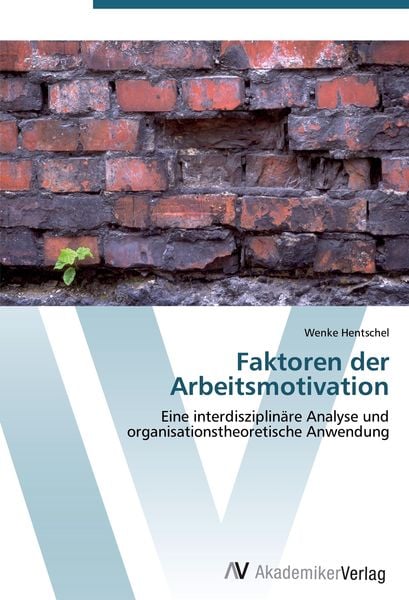 'Faktoren Der Arbeitsmotivation' Von 'Wenke Hentschel' - Buch - '978-3 ...