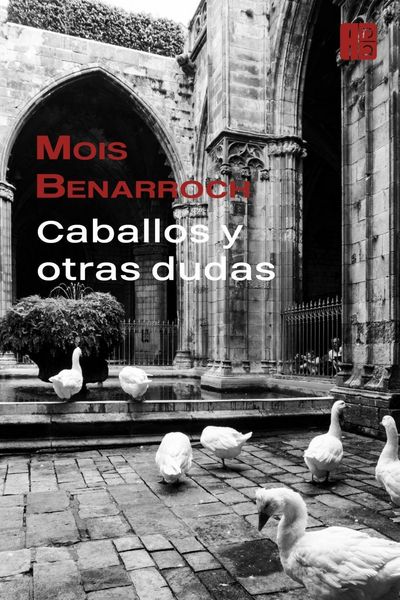Produktbild: Caballos y otras dudas