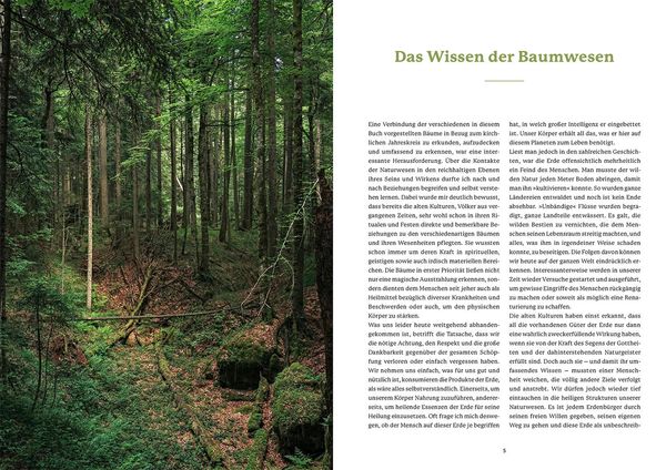 Produktbild: Die Weisheit der Baumwesen
