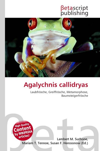 Produktbild: Agalychnis callidryas