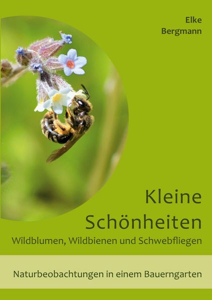 Produktbild: Kleine Sch&ouml;nheiten - Wildblumen, Wildbienen und Schwebfliegen