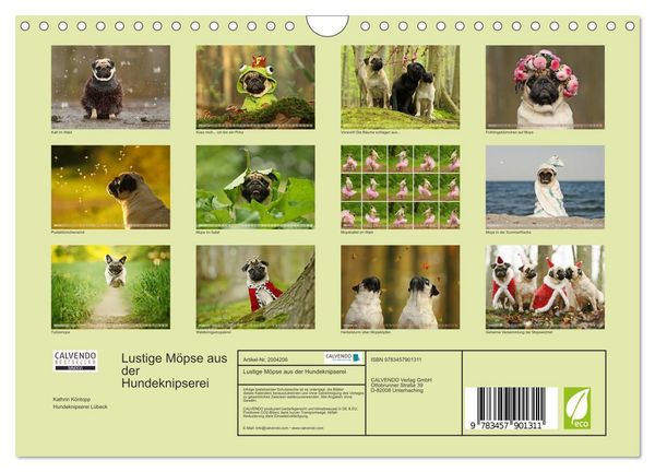 Produktbild: Lustige M&ouml;pse aus der Hundeknipserei (Wandkalender 2026 DIN A4 quer), CALVENDO Monatskalender