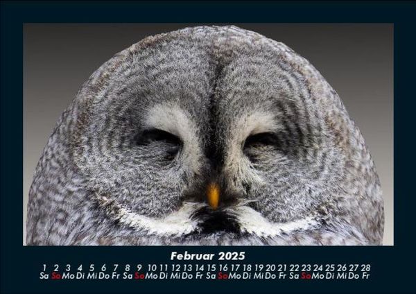 Produktbild: Vogelparadies 2025 Fotokalender DIN A5