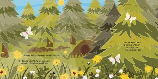 Produktbild: Wo verstecken sich die Tiere im Wald?