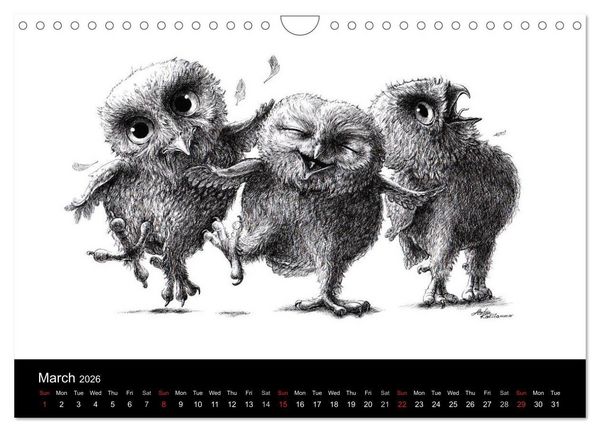 Produktbild: owls & friends 2026 (Wall Calendar 2026 DIN A4 landscape), CALVENDO 12 Month Wall Calendar